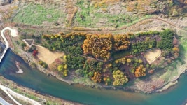 곡성군, 제월섬을 숲 생태 보물섬으로 바꿔놓아