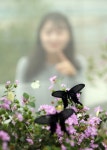[포토]입춘(立春) 나비 “봄 받아라”
