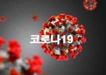 경기 의정부서 4번째 코로나19 확진자 발생...은혜의 강 교회 신도