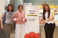 전남산 딸기“죽향·메리퀸”싱가포르 현지 큰 호응
