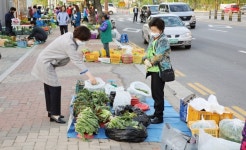 경기 안성시, 아양주공아파트 옆 새벽시장 개장