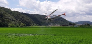 경남 진주시, 벼 병해충 1차 항공방제 완료