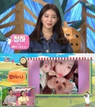 청하 스페셜MC로 동물농장 출연 반려견 밤비 너무 뛰어서 고민