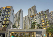 삼성물산·현대건설 개포서 '브랜드 고급화’ 전쟁은 진행중