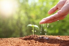 [카드생활 길잡이]카드 쓰고 환경 보호까지…친환경 특화 카드들