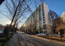 [우리동네 아파트-25] 잠실 장미아파트, 재개발 이슈에 매물잠김 ‘심화’