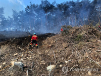 순천·여수에서 산불, 묘지 주변에서 쓰레기 소각 중 발생 추정