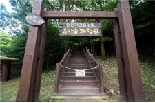 화순군, 숲 해설·유아 숲 체험 프로그램 운영