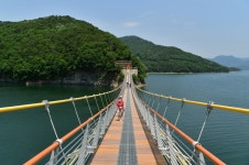 전남 장성군 “황금대나무숲 맑은 공기 마시며, 장성호 수변길 걸어요”