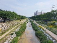 영주시 원당천, 사람과 자연 공존하는 소하천에 선정
