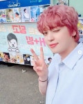 니엘 캐스팅, 개와 고양이의 시간서 어떤 역할?
