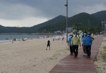 전남 완도군, 여름 휴가철 코로나19 방역 강화로 확산 막는다