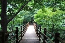 국립청도숲체원, 무장애나눔길 데크로드 개통
