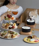 소노펫 고양, ‘슬기로운 시티 펫캉스 패키지’ 선보여