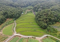 의원직 사퇴 던진 윤희숙, 부친 땅투기 의혹 일파만파