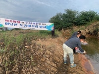 포항시 맑은물사업본부, 여남천에 토종 미꾸리 8000마리 방사
