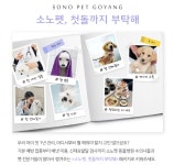 소노펫, 첫돌까지 부탁해 패키지 출시…반려견 원스톱 건강 케어