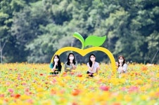 Naver 搜索结果照片 5