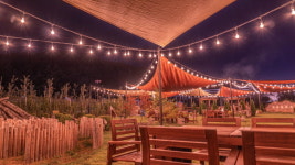 소노벨 청송, 사과 체험 프로그램 ‘애플팜 키즈 플레이’ 운영