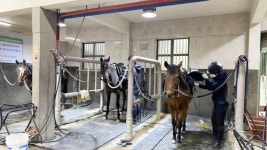 대전시설公 복용승마장, 기승능력인증시험 시행