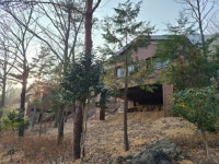 전남 해남군, 흑석산 자연휴양림 숲속의 집 새단장