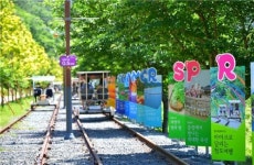 청도레일바이크, 코로나 펜데믹 속 개장이래 최대 매출 기록