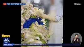 불량 배추 김치 한성식품 심려 끼쳐 죄송…공장폐쇄