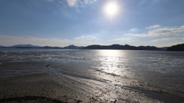 보성-순천 등 5개 지역 한국의갯벌 세계유산 2단계 등재...고흥갯벌도 추진