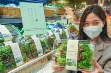 당일 수확했어요...현대그린푸드, 친환경 새벽 쌈채소 선봬