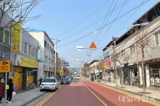청송군, 진보면 소재지 전선 없는 안전거리 조성 나서