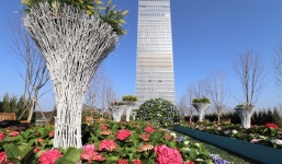 대전신세계 블루밍 신세계주제로 봄 꽃 정원 선보여