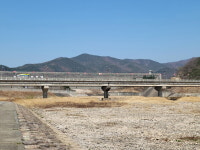 [단독] k-water 운문권지사, 청도 동창천 생태계 4년 만에 또 황폐화 시켜