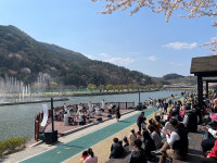 광양시립예술단, 봄맞이 서천변·배알도 버스킹 성황
