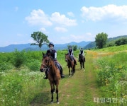 구미시, 새로운 승마의 중심지로...하루 평균 60여명 이용