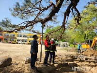 봉화군, 물야초등학교 명상숲 복원사업 추진