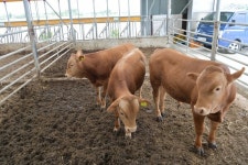 예산군, 깨끗한 축산농장 충남 지정평가 68개소 최다