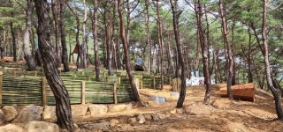 구례 지리산정원, 소나무숲 하늘정원 산책길 걸어보세요