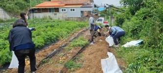 광주서부교육지원청 직장텃밭동호회 그린팜, 첫 수확물 그룹홈에 전달