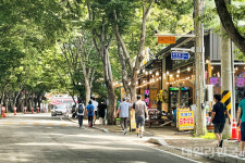 청송군, 주왕산 상가지역 정비...골목경제 활성화