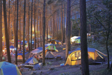 광양시, 백운산자연휴양림서 남도바닷길 캠핑대전 연다