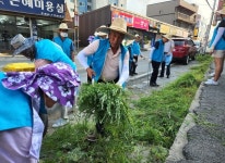천안시 직산읍 주민자치위원회, 환경정비·잡초 제거 구슬땀