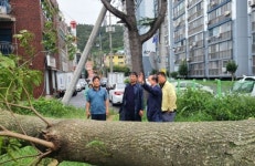 전남 목포시의회 문차복의장 태풍 피해 현장 점검