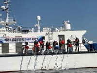 제주해양수산연구원, 다금바리 치어 2만 마리 방류