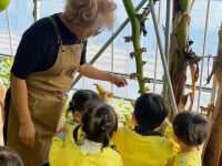 천안농가에 맛있는 바나나와 구아바가 주렁주렁