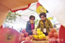 이태원 참사...청송군, 청송사과축제 연기...내달 9~13일 개최