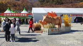 2022 문경약돌한우축제 성료...3일간 10만여명 방문