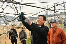 장성군, 과수전정단 운영