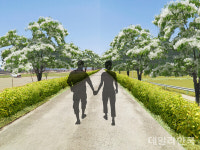 의성군, 명품 가로경관 조성 추진...나무 1125주 식재