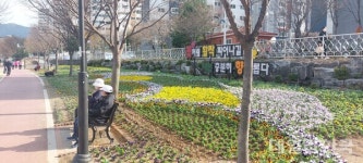 경산시, 봄꽃 어울림 꽃화단 조성