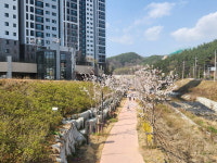광양시, 인덕천 경관숲 조성